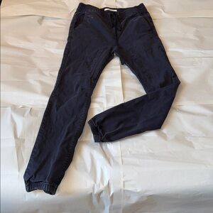 PacSun Dark Blue Joggers